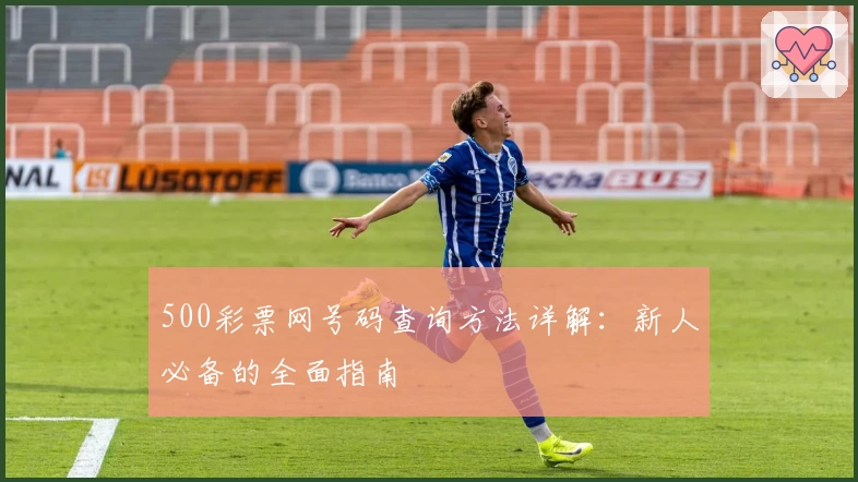 500彩票网号码查询方法详解：新人必备的全面指南