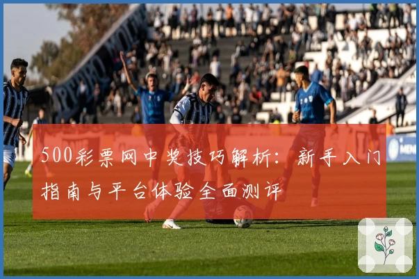 500彩票网中奖技巧解析:新手入门指南与平台体验全面测评