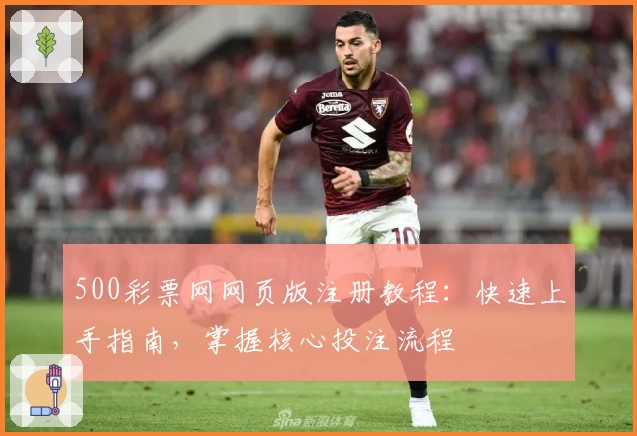 500彩票网网页版注册教程：快速上手指南，掌握核心投注流程