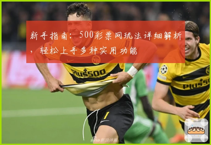 新手指南：500彩票网玩法详细解析，轻松上手多种实用功能